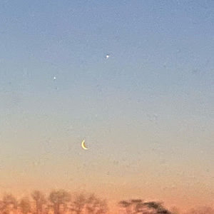 Meet your Posher, Karlee